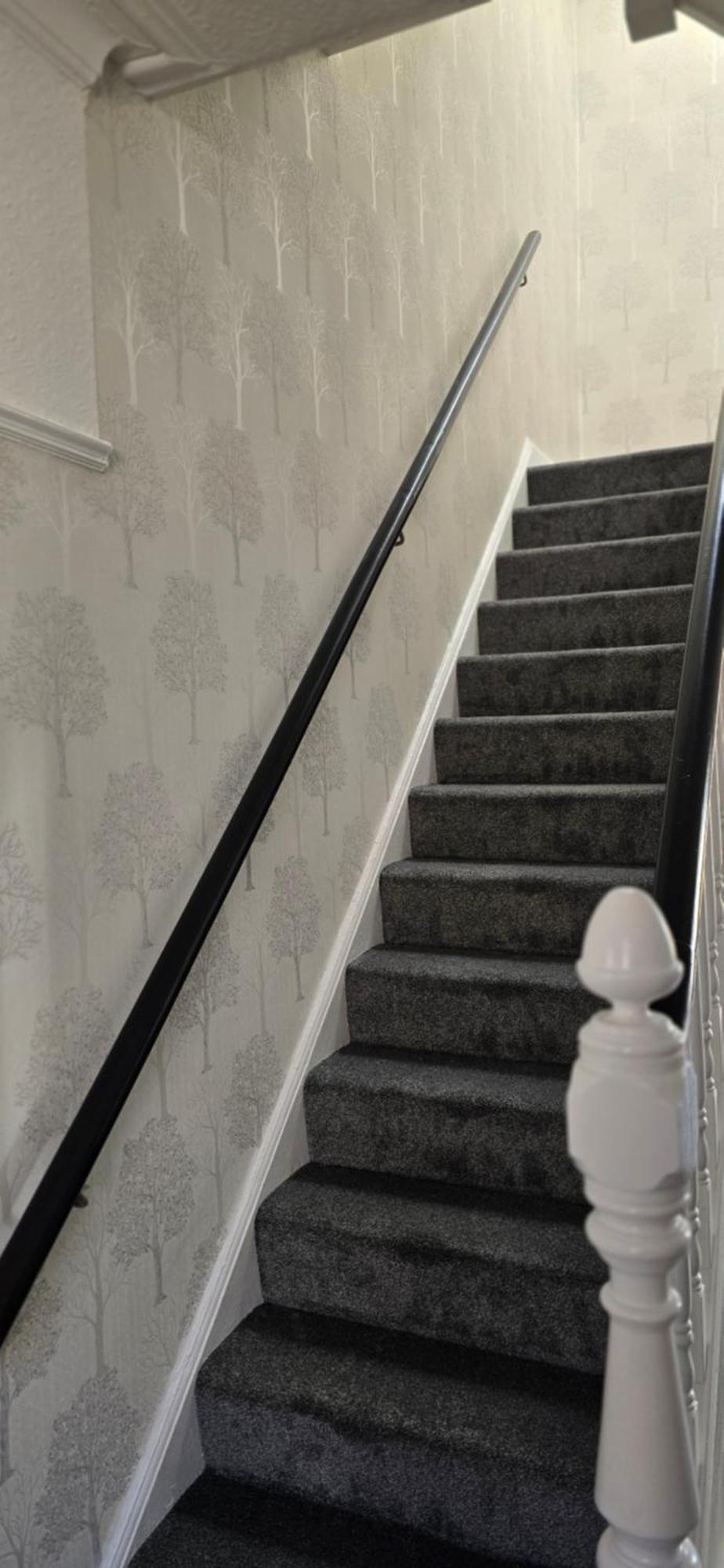 Alexandra Park House Apartment เบลฟาสต์ ภายนอก รูปภาพ